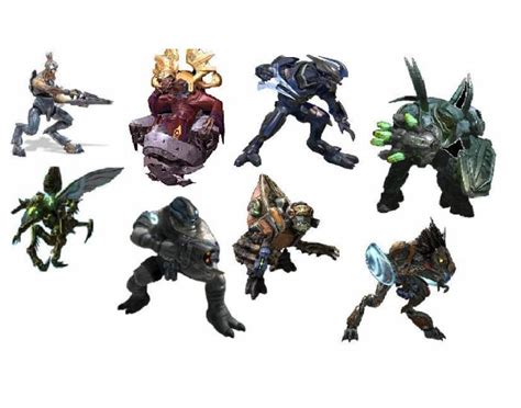 halo covenant races|Covenant (Halo) .